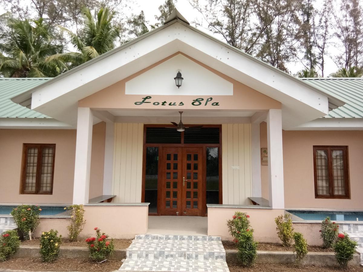 Lush Green Retreat Wandoor Exterior foto